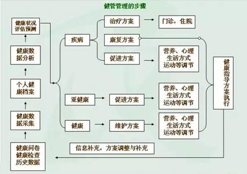个性化医疗：未来的健康之路
